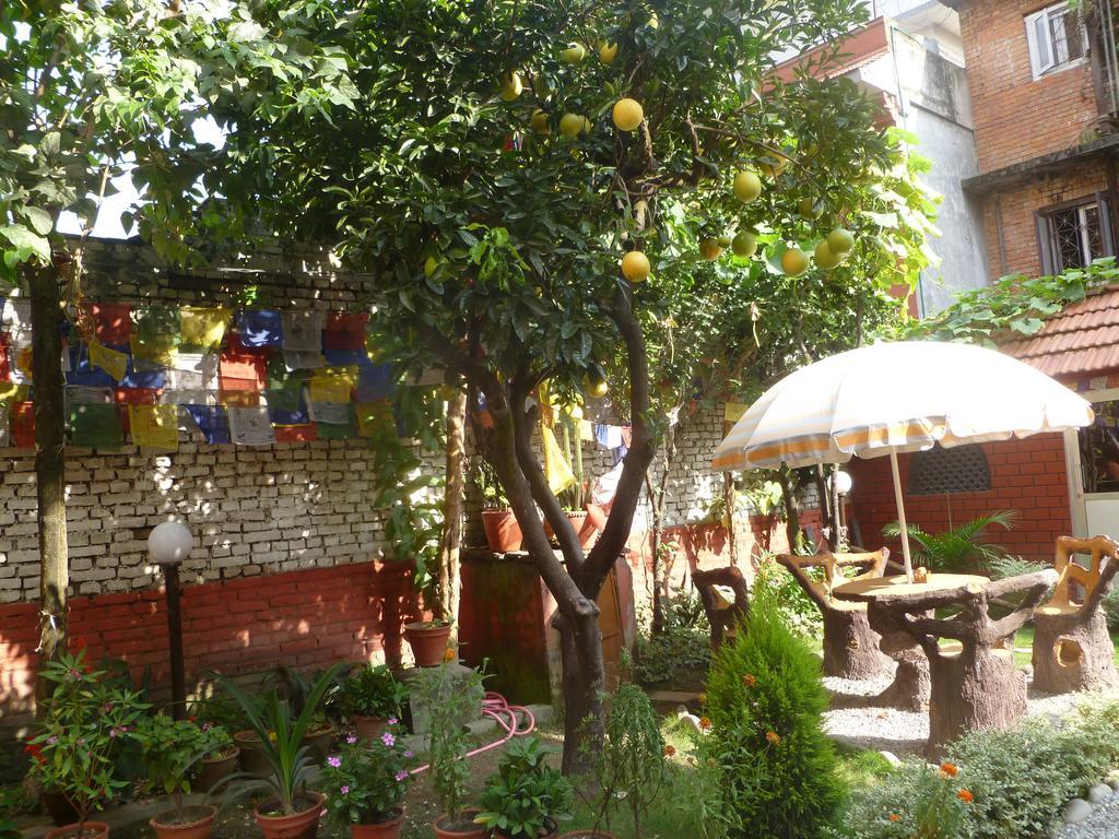 Andes House Bed & Breakfast Kathmandu Ngoại thất bức ảnh